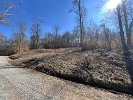 Elm Springs Ridge Rd