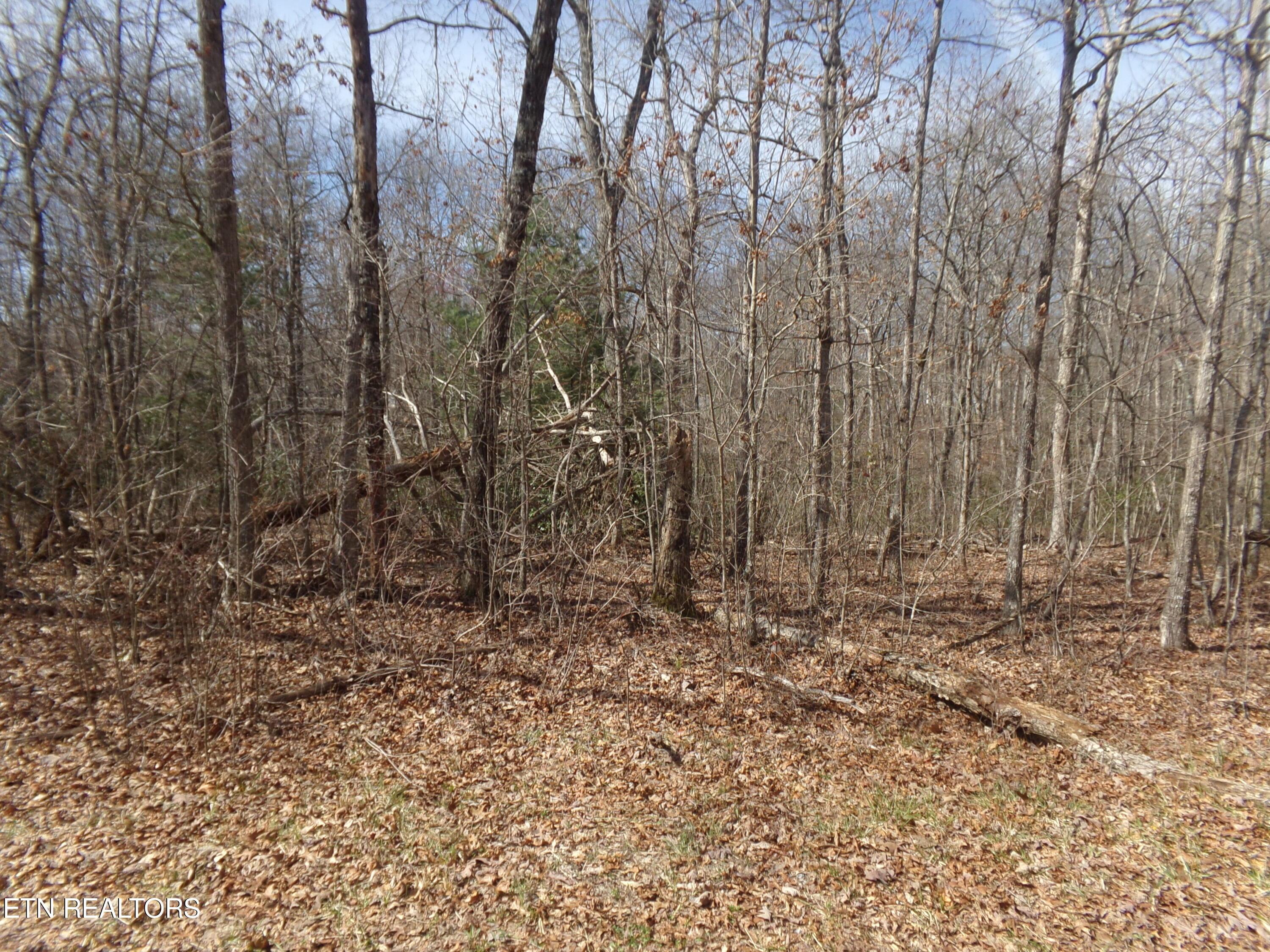 Image 1: Front of Lot