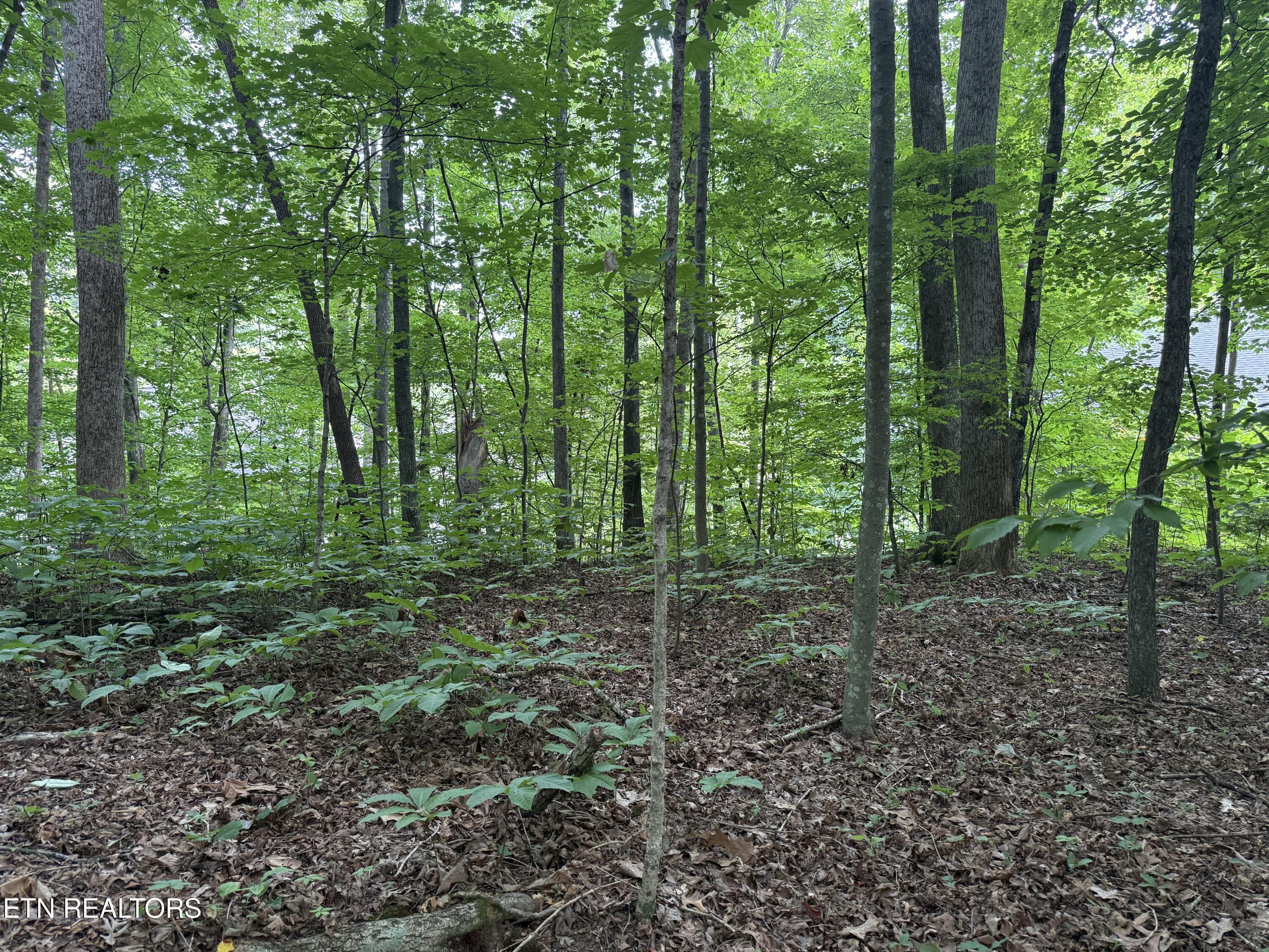 Image 3: IMG_4327