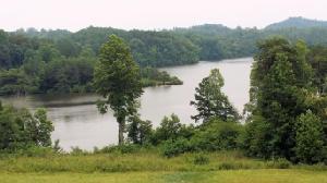 123 Clearwater Cove Drive 7