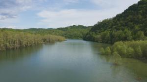 106 Acres Raven Fork Rd