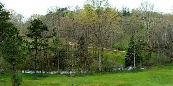Lot 8 State Highway 60 Lane