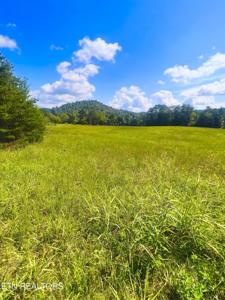 Lot N/A Harris Branch Rd