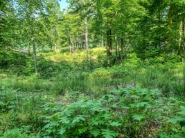 Lot 52 Beech Grove Loop