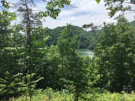 Lot 880 Fellowship Lane