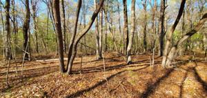 Lot 2 Divide Tr
