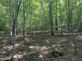 lot 105 Hiwassee View Dr