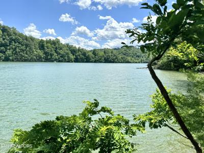 Mountain Shores Rd