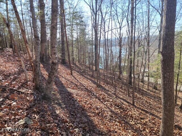 Image 2: Deer Pond Circle Lots 7, 8, & 9 (1)