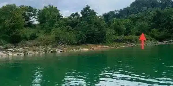 lot 585 Russell Brothers Rd