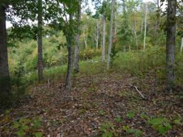 1.54ac Mitchell Creek Point