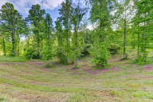 Lot 56 Old Leadmine Bend Rd