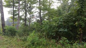 lot 65 Cheri Lane