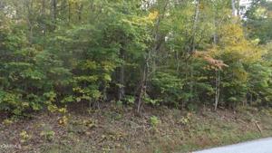 Lot 56-57 Lake Lane