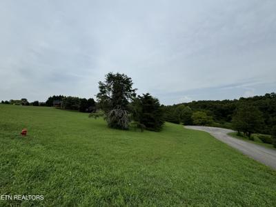 Indian Shadows Drive