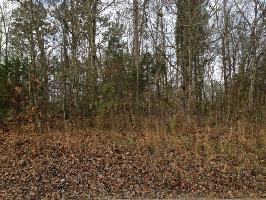 342 Mingo Way 18
