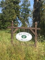 Lot 4 Bat Creek Shores Landing