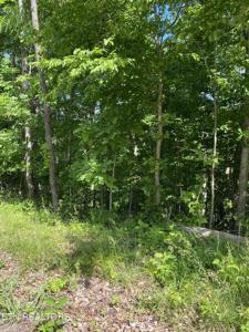 Buck Horn Rd