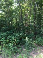 223 Oostanali Way 6
