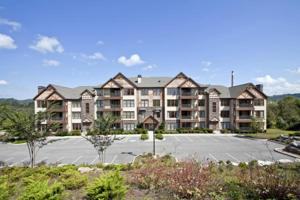 336 Centennial Bluff Blvd