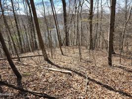 Lot 58 Mountain Shores Rd