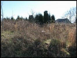 Lot 13 Itawa Trail 13