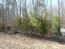 130 Lot 11 Block 1 Amohi Way 11