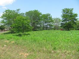 Wadulisi Trail  7