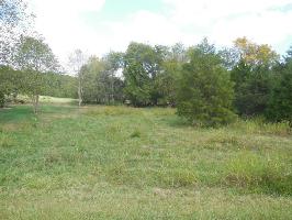 108 Lot 5 Blk 1 Wapiti Way 5