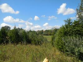 106 Lot 4 Blk 1 Wapiti Way 4