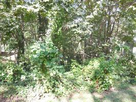 153 Lot 10 Blk 21 Inata Circle 10