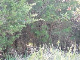 Lot 11 Block 29 Sikwa Tr 11