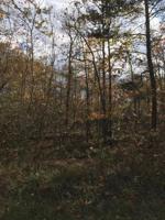 114 Pomeroy Drive 233