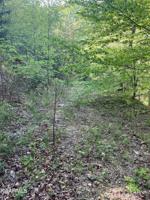 Lot 163 Crestwood Drive