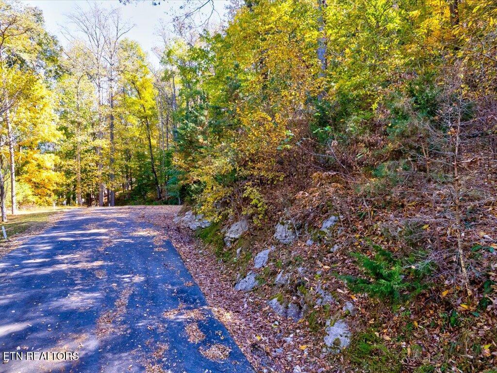 Image 4: Lot 37 Five Oaks Cir - 4