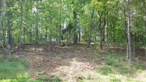 229 Tahlequah Drive 9