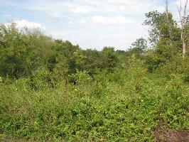 Lot 19 Block 8 Walelu Tr 19