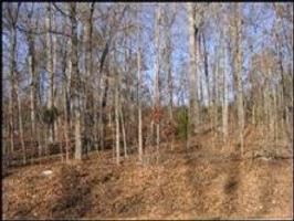 Lot 12 Block 5 Kawga Way 12