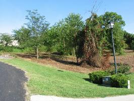 Lot 26 Block 8 Walelu Tr 26
