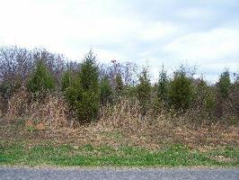 Lot 22 Block 3 Kahite Tr 22 531