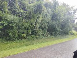 3.6 Acres Savage Garden Rd