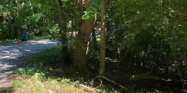 Lot 8 Deer Run