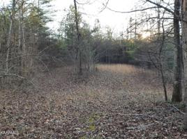 4 lots Stonehenge Road