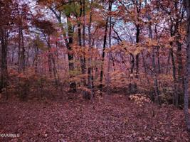 16 Rickets Court