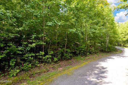Lot 5 Scenic Drive