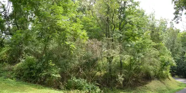 Lot 28 Park Drive