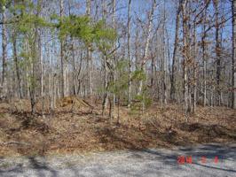 1127 Hernando Trace 563