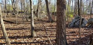 19 Clason Point
