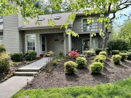 110 Chota View Lane