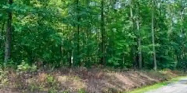 Lot 78 Holly Glen Shores